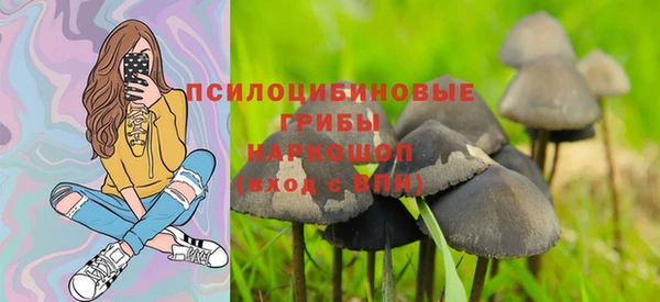 тгк Алексеевка