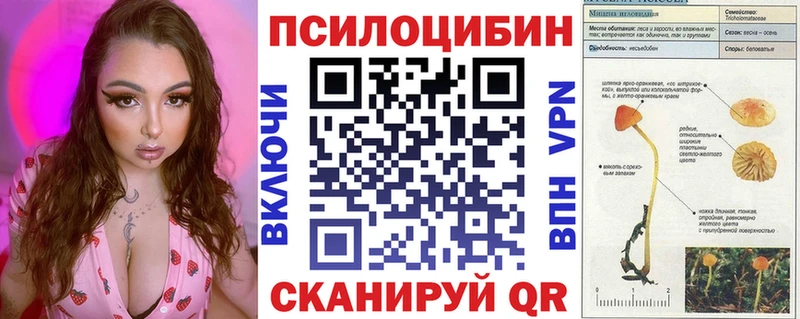 купить наркоту  Тайга  Псилоцибиновые грибы мухоморы 